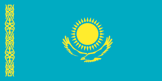 Купить в Казахстане.